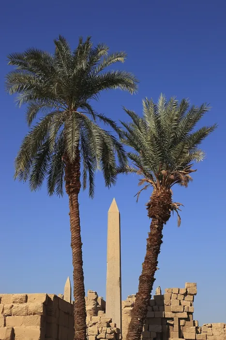 Framed Print : Luxor, Karnak Temple, obelisk in the temple complex in Karnak