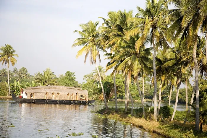 Framed Print : Luxury houseboat and coconut trees in Backwaters