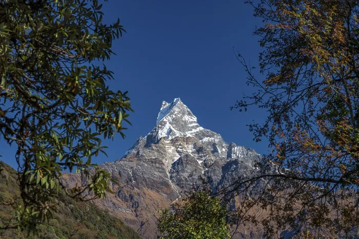 Framed Print : Machapuchare, Himalaya, fish tail Framed Print : Machapuchare, Himalaya, fish tail