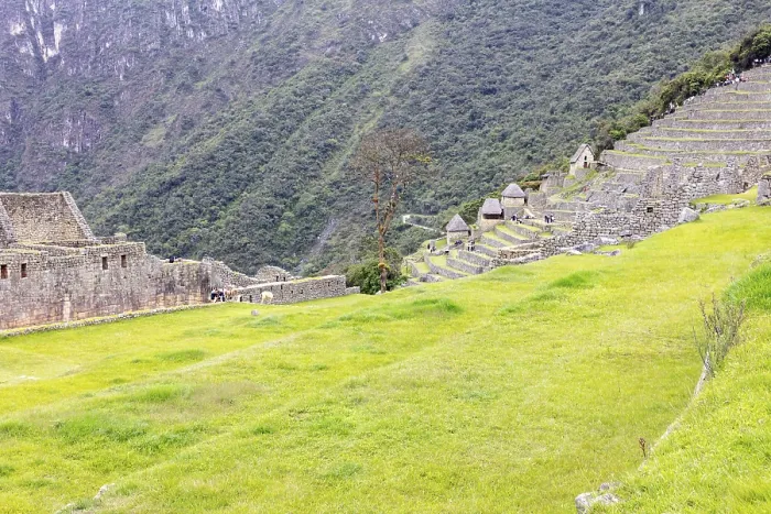 Framed Print : Machu Picchu, Sacred Valley, Peru Framed Print : Machu Picchu, Sacred Valley, Peru