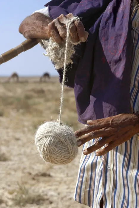 Framed Print : Making thread out of sheep wool