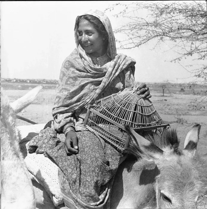 Framed Print : Makrana Tribe, Veraval, Saurashtra, Gujarat, 1963