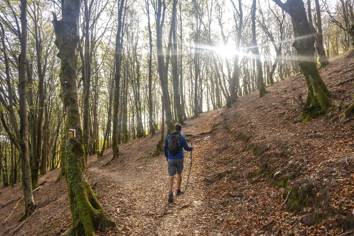 Framed Print : Male hiker with backpack and trekking poles walking in a forest path in aiako harria natural park
