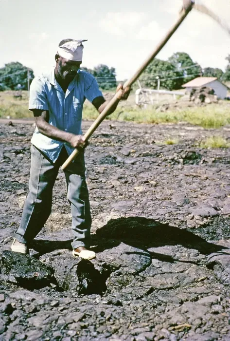Framed Print : Male worker using pickaxe digging tar at La Brea Pitch Lake, Trinidad, Trinidad and Tobago, early 1960s, Central America Framed Print : Male worker using pickaxe digging tar at La Brea Pitch Lake, Trinidad, Trinidad and Tobago, early 1960s, Central America