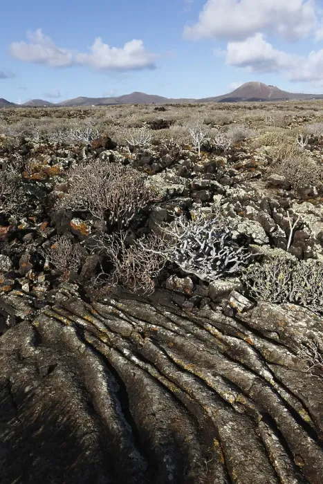 Framed Print : Malpais de la Corona, field of ropy lava from the Corona volcano Framed Print : Malpais de la Corona, field of ropy lava from the Corona volcano