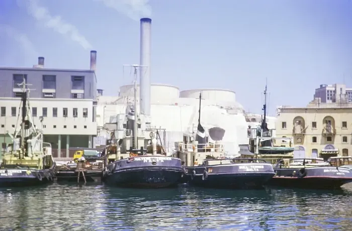 Framed Print : Maltese Terrier, Bull Terrier, British Terrier, tug boats Ta Xbiex, Valletta, Malta, Europe 1971, Europe