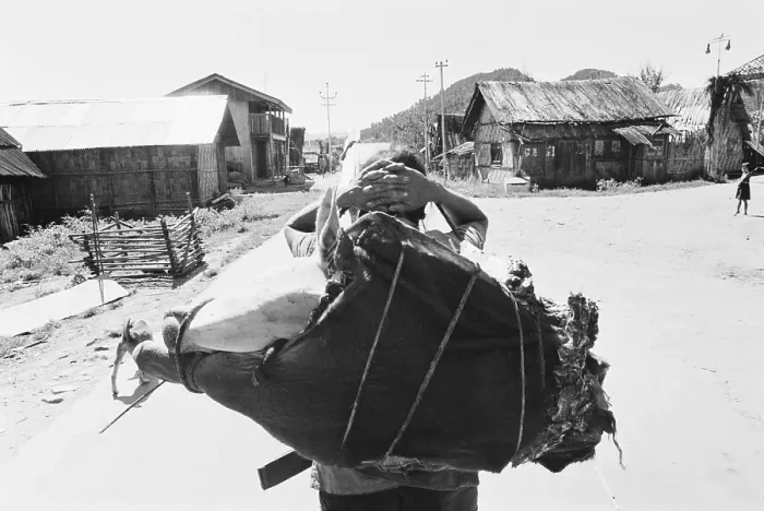 Framed Print : Man carrying loads, Kameng, Arunachal Prades h, India 1982 Framed Print : Man carrying loads, Kameng, Arunachal Prades h, India 1982