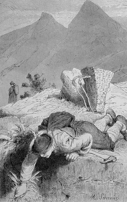 Framed Print : Man digging for roots of, Gentian (Gentiana)