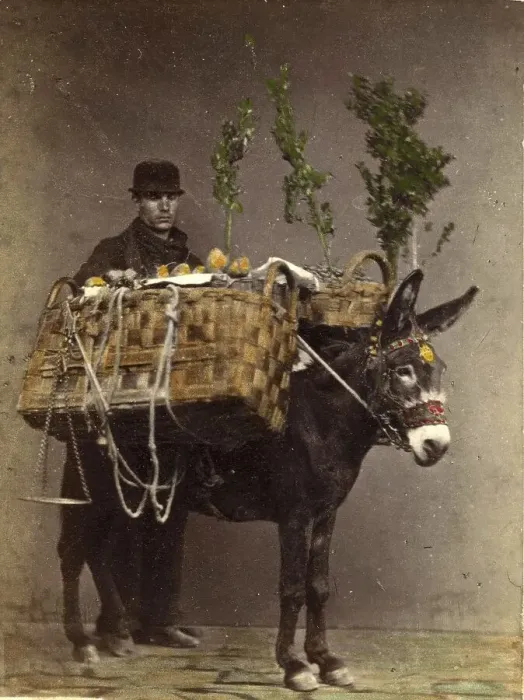 Framed Print : A man, farmer, with a loaded donkey on the way to the market