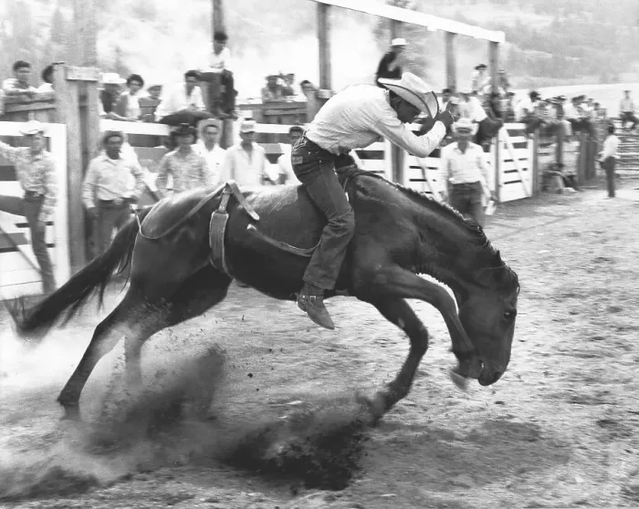 Framed Print : Man on horse during rodeo, England, Great Britain
