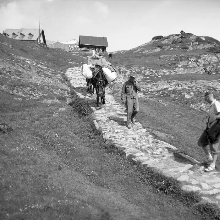 Framed Print : Man leads a stone path down a fully packed donkey from an alpine pasture