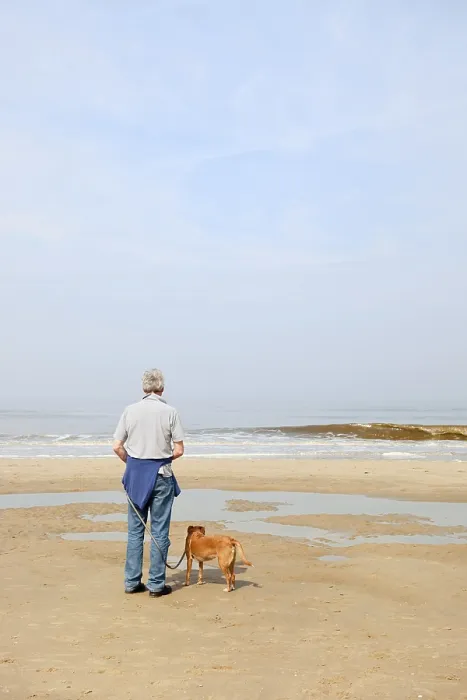 Framed Print : Man with little brown dog at the beach
