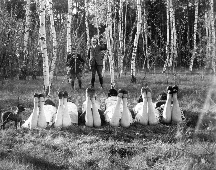 Framed Print : Man is photographing six women in a beech forest