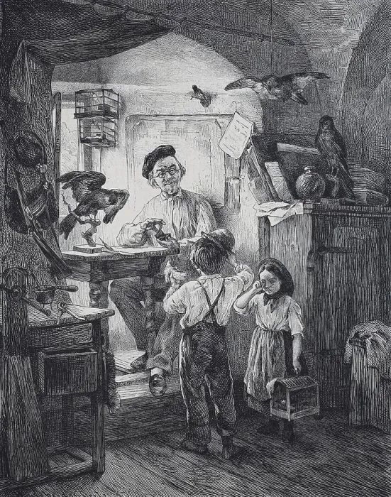 Framed Print : Man preserving zoological specimen