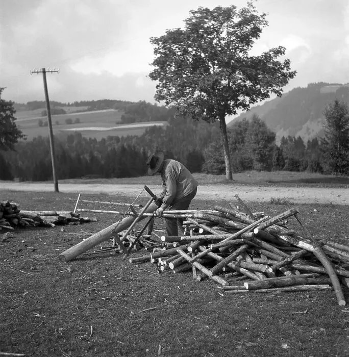 Framed Print : Man saws wood, around Freiburg from 1945 to 1955