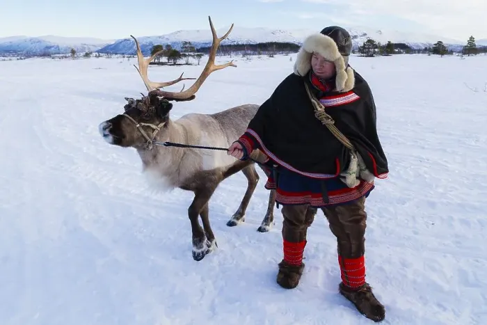 Framed Print : Man in traditional Sami dress, with a reindeer Framed Print : Man in traditional Sami dress, with a reindeer