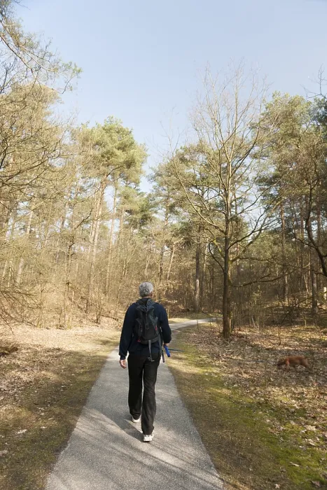 Framed Print : Man walking with dog in Dutch nature