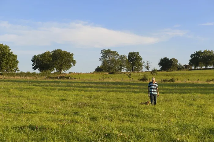 Framed Print : Man walking the dog in landscape with fields and trees