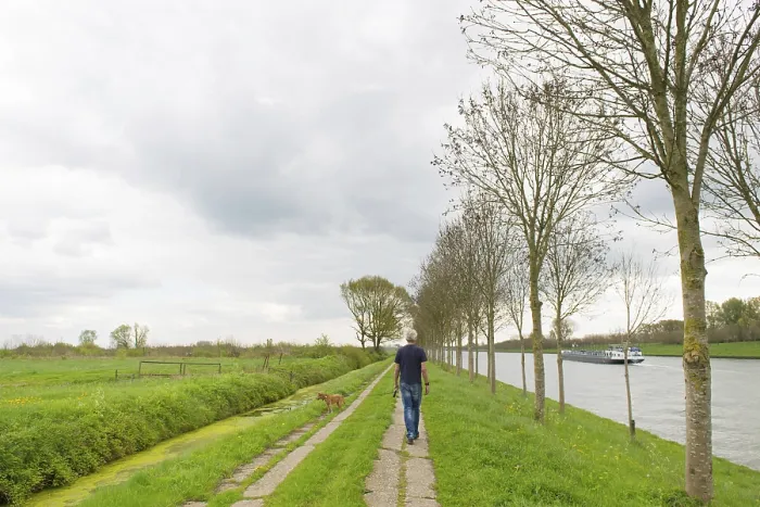 Framed Print : Man walking the dog in typical dutch landscape