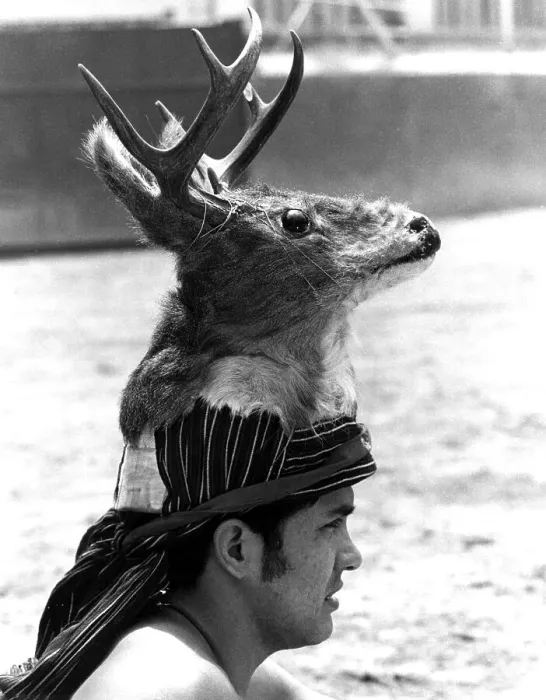 Framed Print : Man wearing deer head on his head Framed Print : Man wearing deer head on his head