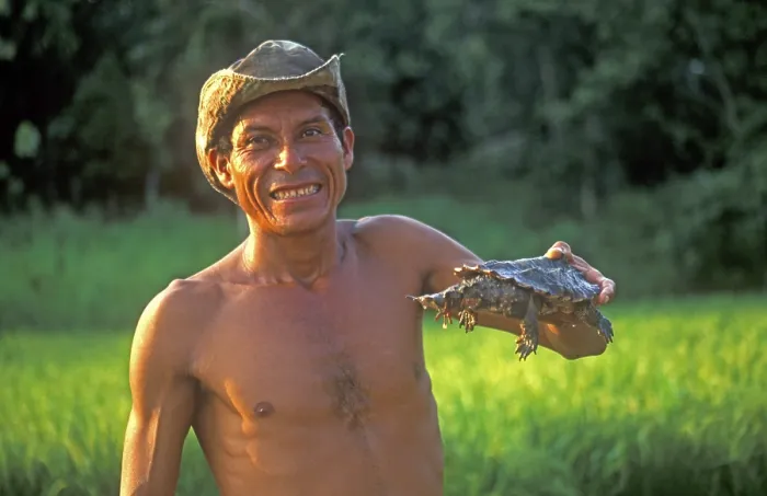 Framed Print : A man who runs a small private zoo near Iquitos on the Amazon shows a turtle Framed Print : A man who runs a small private zoo near Iquitos on the Amazon shows a turtle