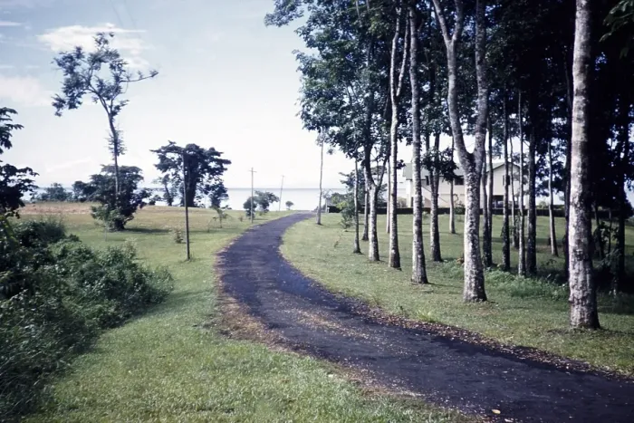 Framed Print : Management house for oil industry asphalt drive past teak trees, Trinidad c 1962