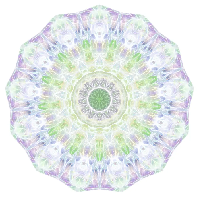 Framed Print : Mandala