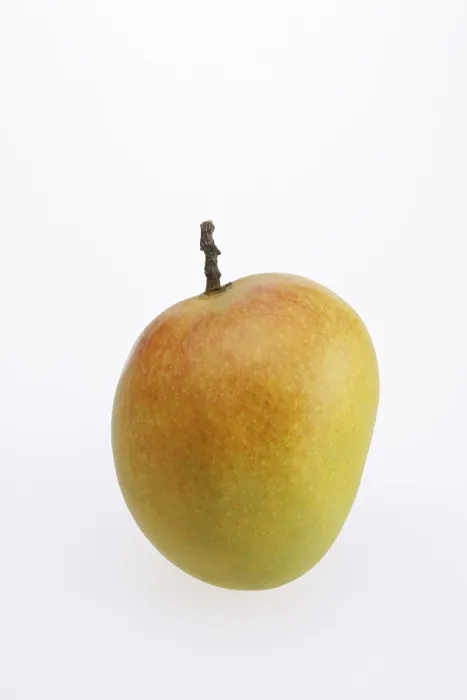 Framed Print : Mango