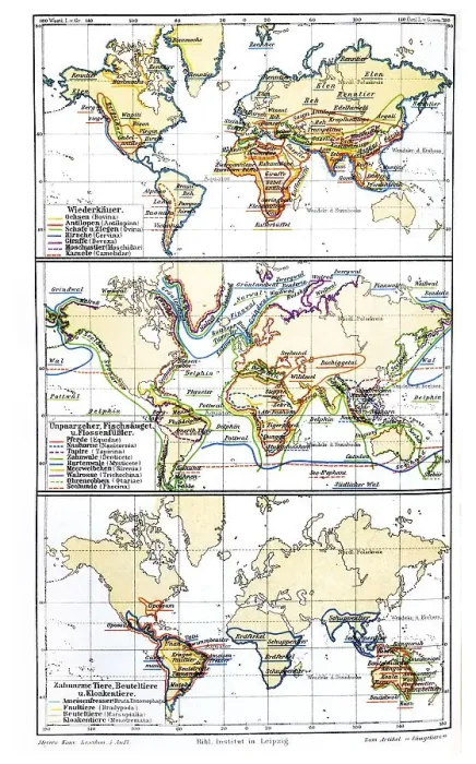 Framed Print : Map, occurrence of mammals, historic image