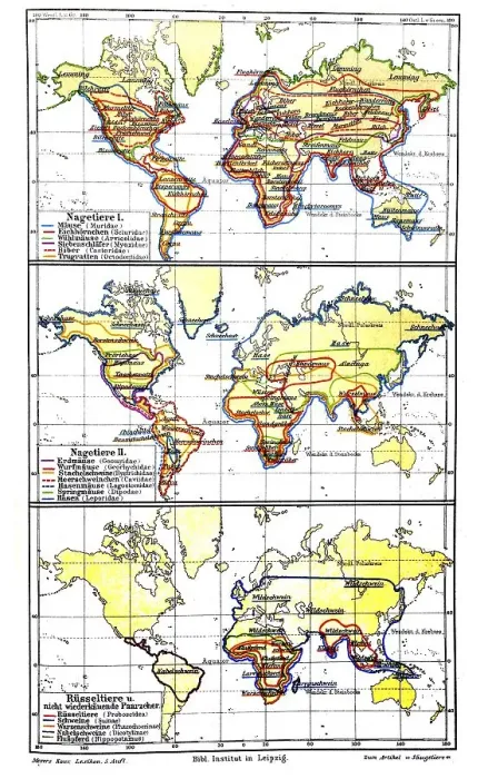 Framed Print : Map, occurrence of mammals II, historic image Framed Print : Map, occurrence of mammals II, historic image