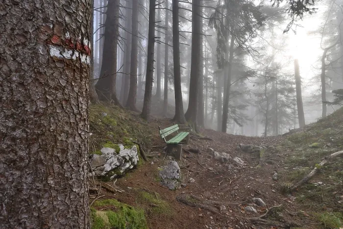 Framed Print : Marked hiking trail with bench leads through a misty mountain forest Framed Print : Marked hiking trail with bench leads through a misty mountain forest