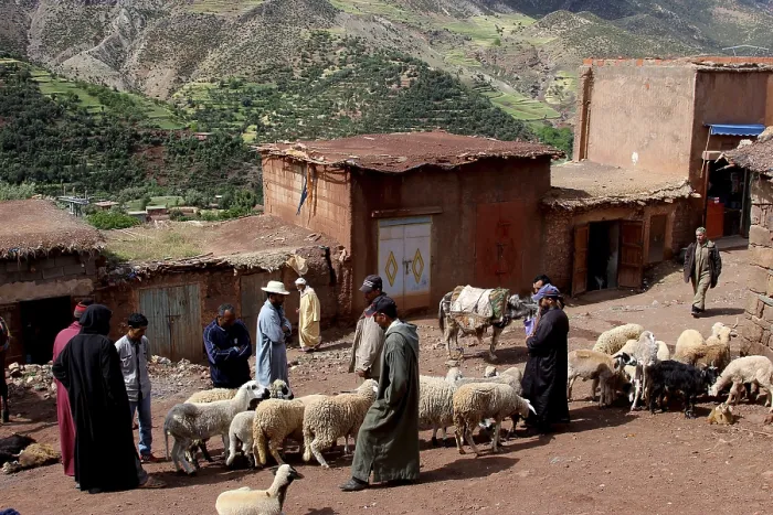 Framed Print : Market day in Achaouikh with people and sheep in front of picturesque mountain scenery
