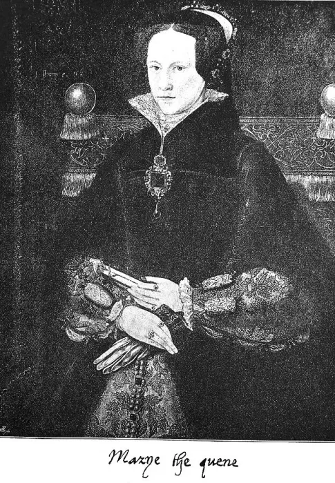 Framed Print : Mary I, Mary Tudor, Mary the Catholic or Mary the Bloody Framed Print : Mary I, Mary Tudor, Mary the Catholic or Mary the Bloody