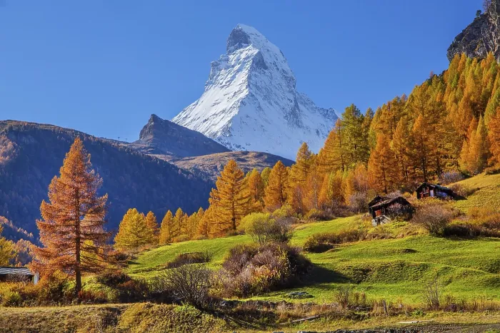Framed Print : Matterhorn 4478m with golden yellow larches in autumn
