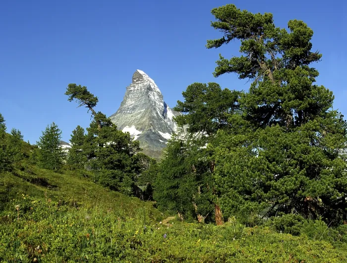 Framed Print : Matterhorn near Zermatt, Valais, Switzerland