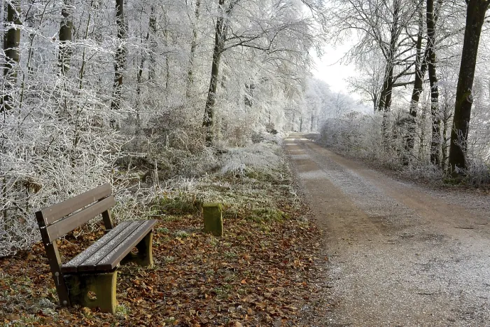 Framed Print : Maulbronn, hoarfrost in the forest, forest path