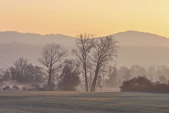 Framed Print : Meadows and trees in the early morning mist in the light of the rising sun