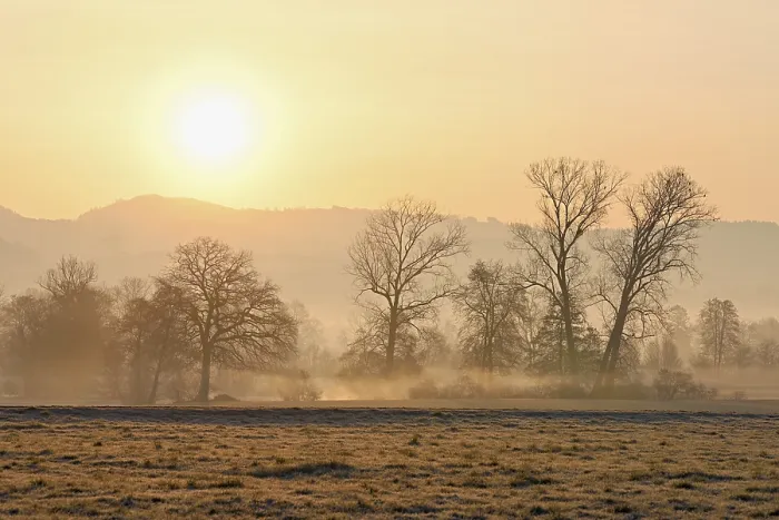 Framed Print : Meadows and trees in the early morning mist in the light of the rising sun
