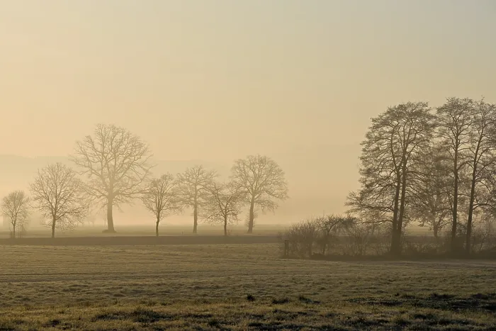 Framed Print : Meadows and trees in the early morning mist in the light of the rising sun