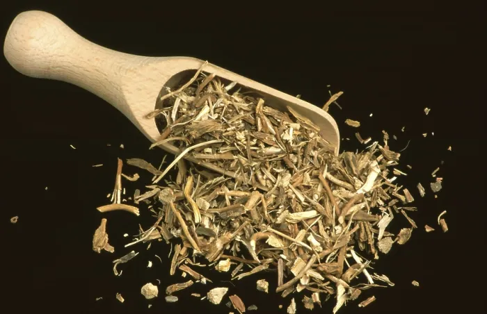 Framed Print : Medicinal herbs: Sarsaparilla root