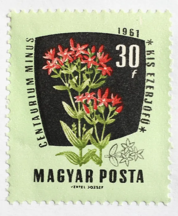 Framed Print : Medicinal plant as stamp motif