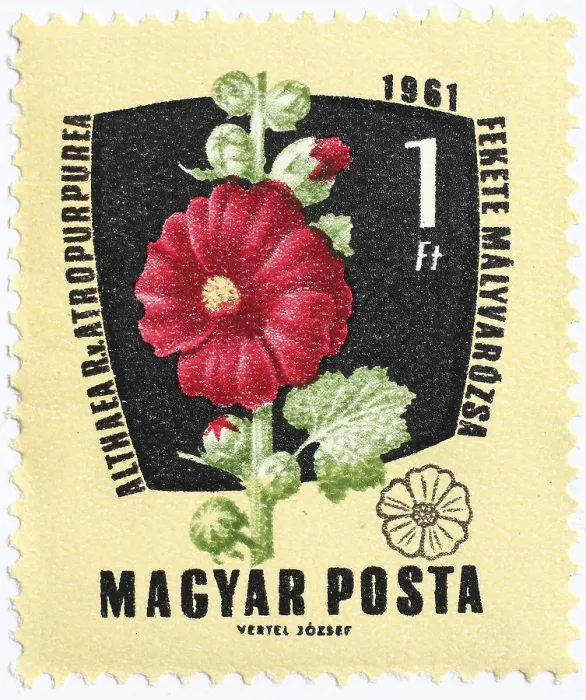 Framed Print : Medicinal plant as stamp motif