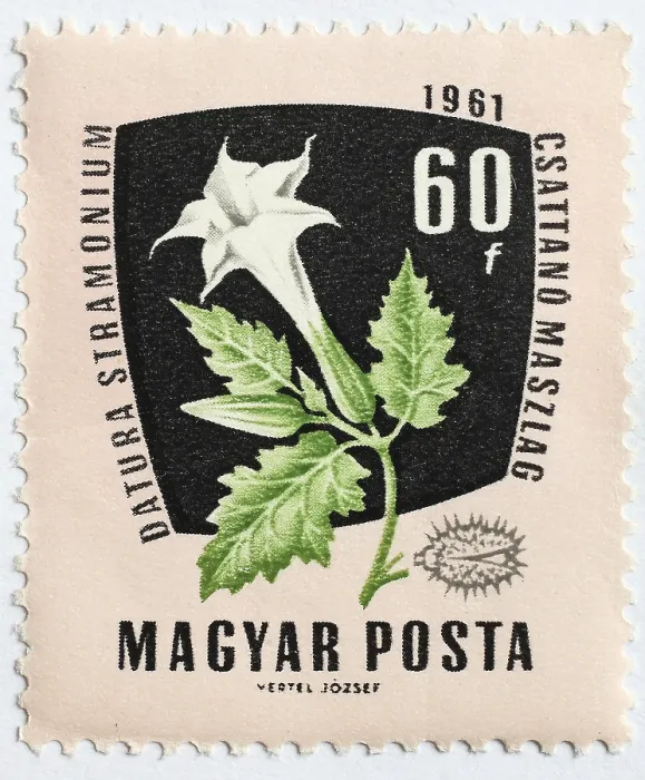 Framed Print : Medicinal plant as stamp motif
