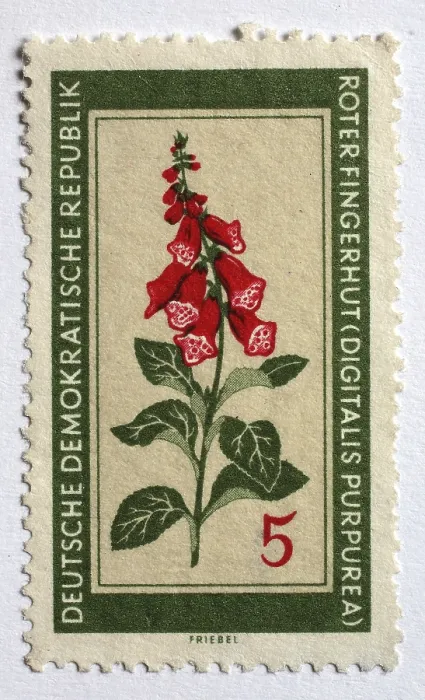 Framed Print : Medicinal plant as stamp motif