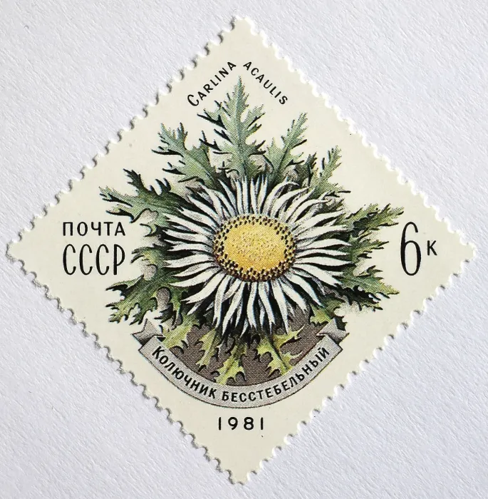 Framed Print : Medicinal plant as stamp motif