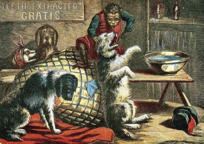 Framed Print : Medicine, Anatomy, Interior View of a Dentist's Office with Animal Participants