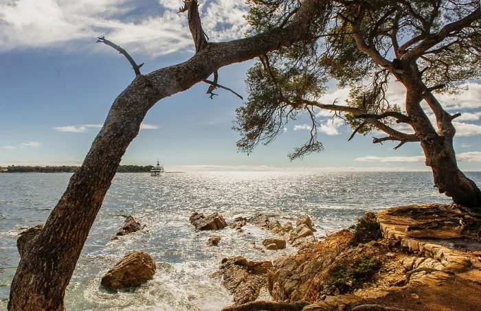 Framed Print : Mediterranean shores of the Ile Sainte Marguerite