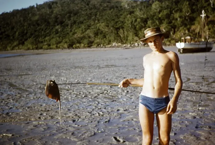 Framed Print : Melbourne Grammar School expedition to Queensland, Australia, 1956 Boy holding stingray on a stick found in the mud on the beach, Happy Bay, Whitsunday Islands, Oceania Framed Print : Melbourne Grammar School expedition to Queensland, Australia, 1956 Boy holding stingray on a stick found in the mud on the beach, Happy Bay, Whitsunday Islands, Oceania