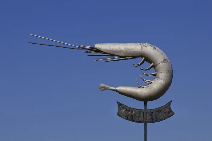 Framed Print : Memorial to the North Sea shrimp