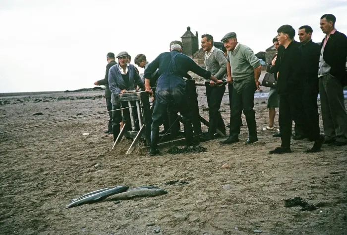 Framed Print : Men and boys netting wild salmon on the beach, River Tweed, Berwick on Tweed, Northumberland, England, UK 1965 Framed Print : Men and boys netting wild salmon on the beach, River Tweed, Berwick on Tweed, Northumberland, England, UK 1965